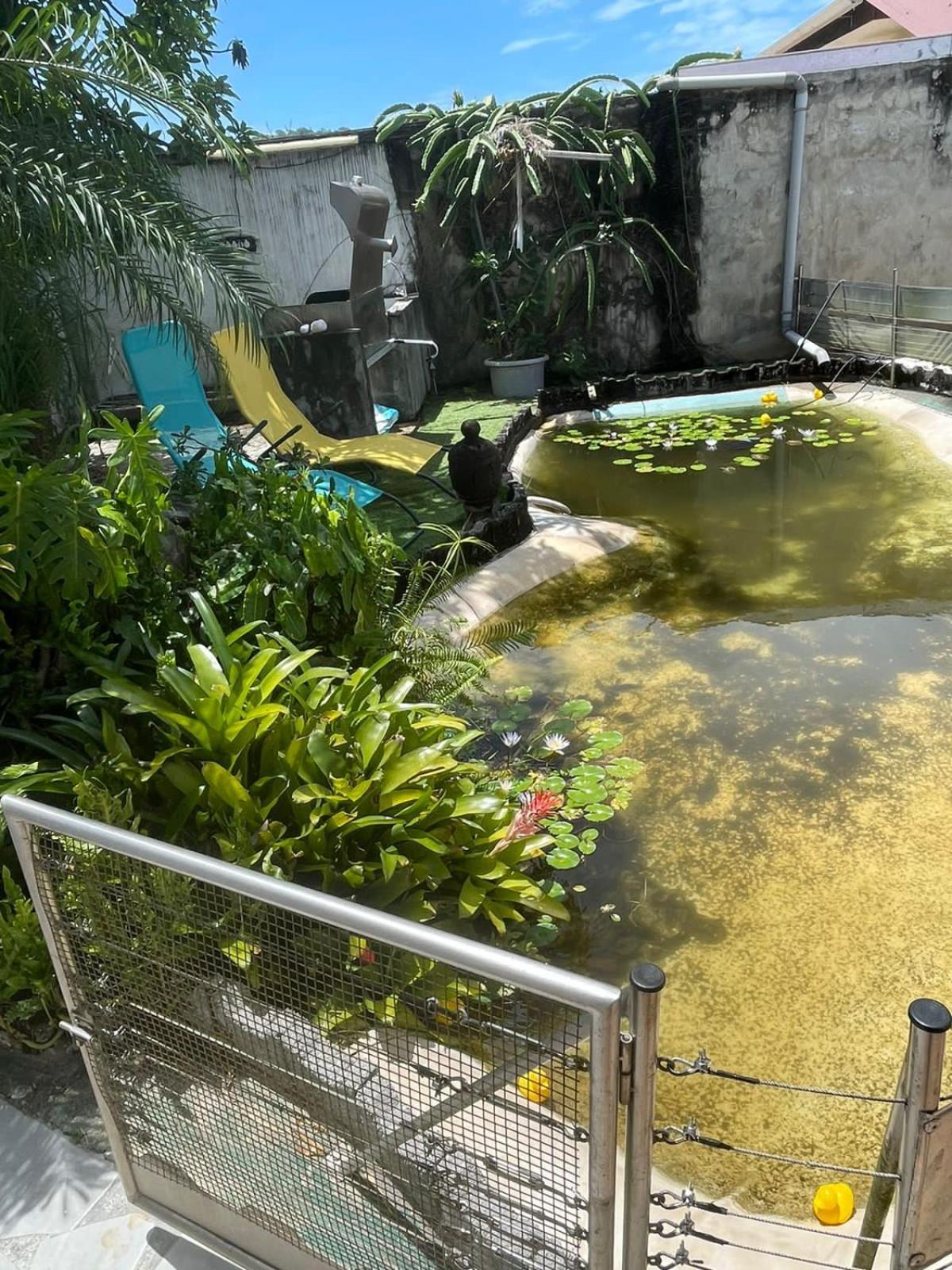Kasentof Villa Cayenne Ngoại thất bức ảnh