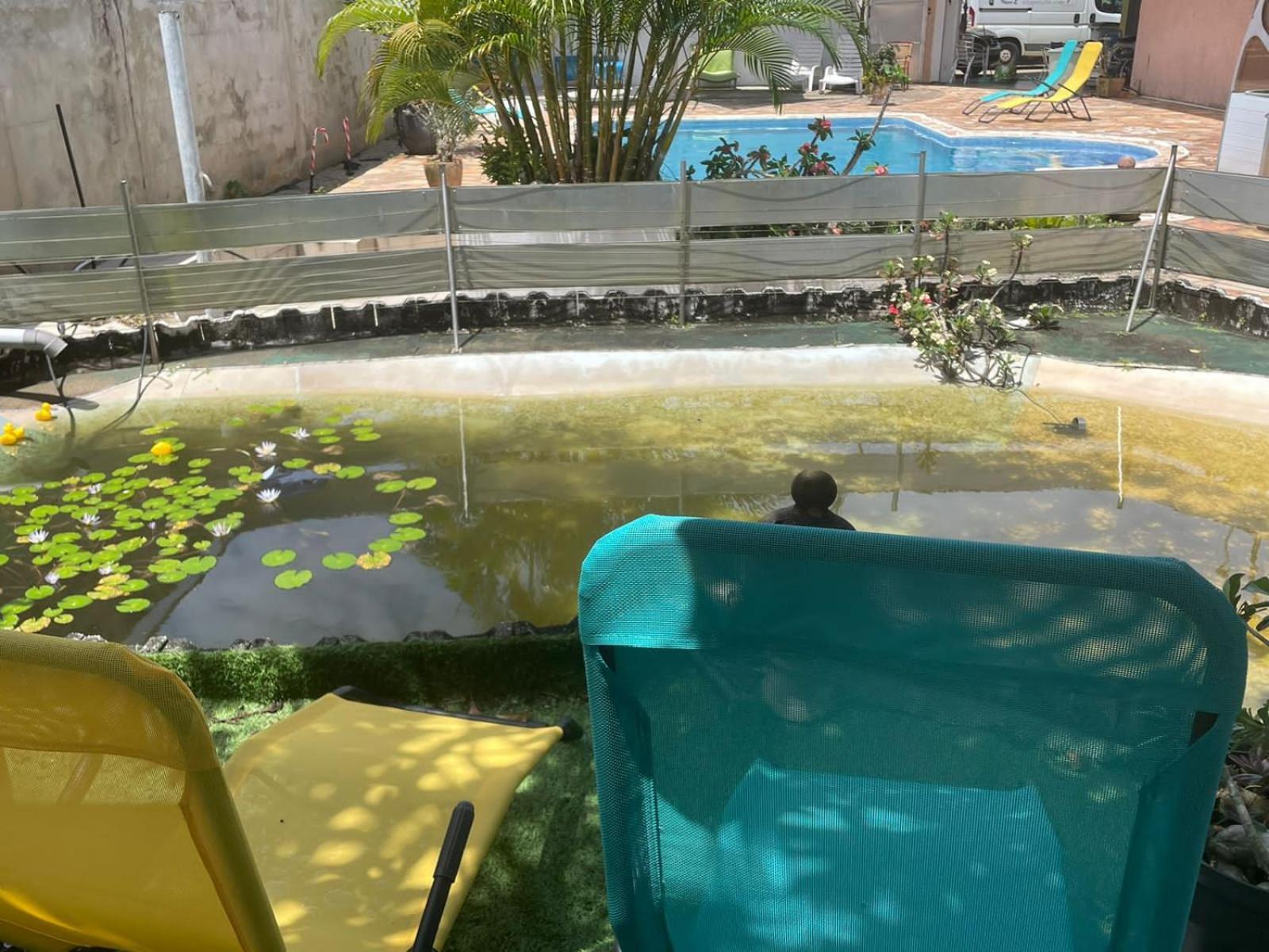 Kasentof Villa Cayenne Ngoại thất bức ảnh
